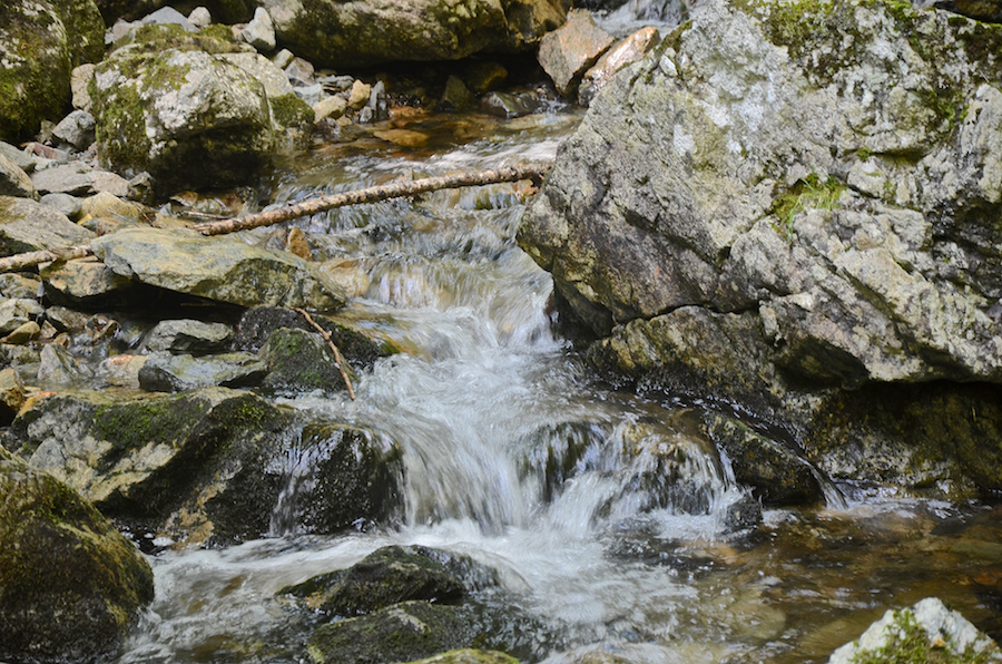 Small cascade on Falls Brook