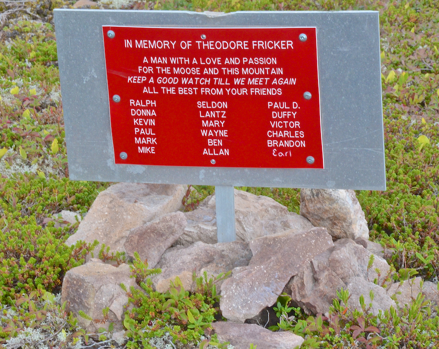 Small metal plaque in memory of Theodore Fricker