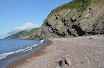 Looking east from Meat Cove Beach