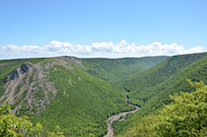 Southern panorama from the Meat Cove Look-Off