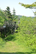 The trail head of the Cape St Lawrence Trail