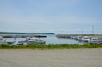 Maryville Harbour (Pigs Cove)