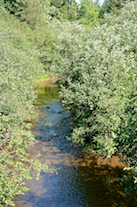 Looking upstream at Indian Brook from the Gairloch Mountain Road bridge