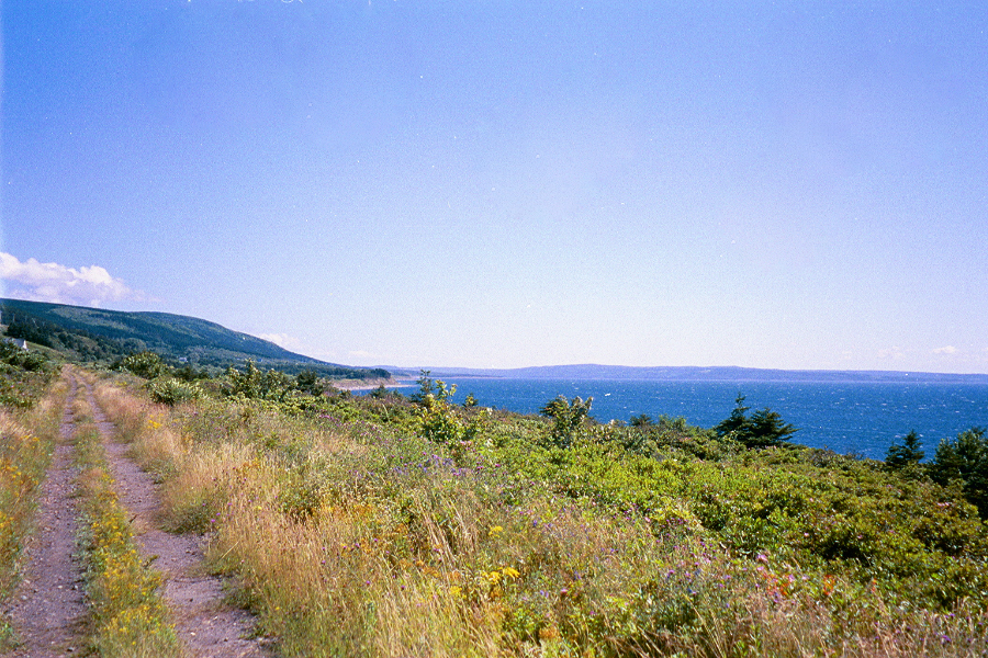 South of Long Point