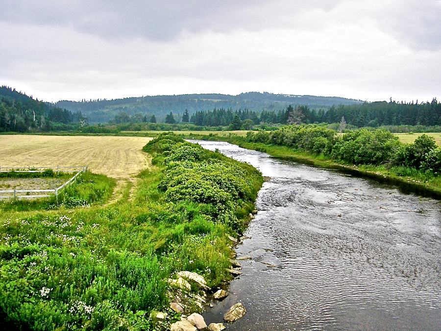 View downstream from the Southwest Mabou bridge