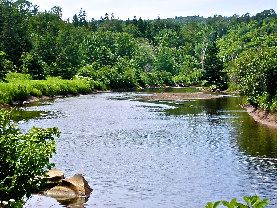 Sand bar in the Southwest Mabou River
