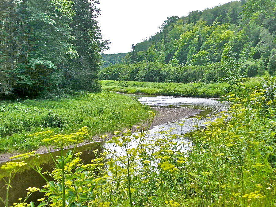 View of the Southwest Mabou River