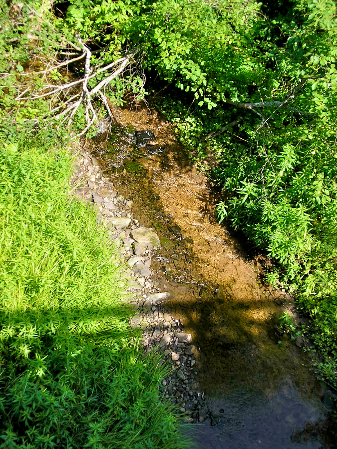 Campbell Brook from the wooden bridge