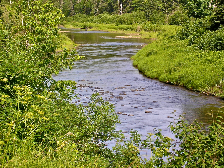 View of the Southwest Mabou River