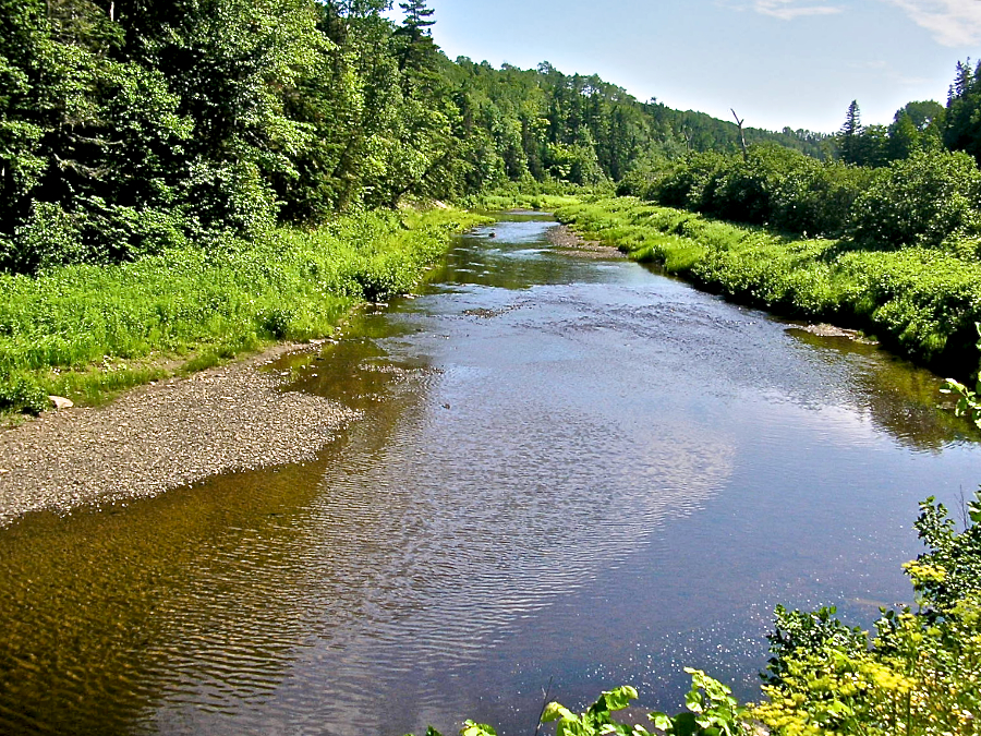 View of the Southwest Mabou River