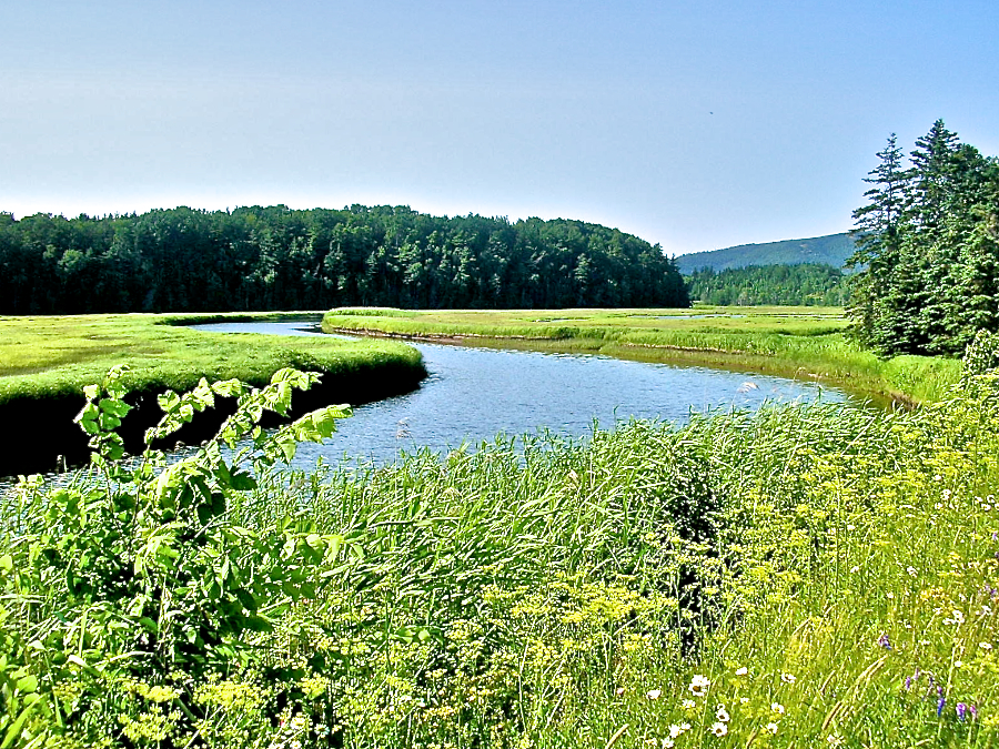 The Southwest Mabou River just above its mouth