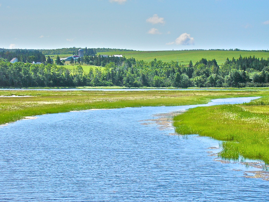View upstream from the second West Mabou Road bridge