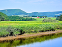 View across the Southwest Mabou River mouth