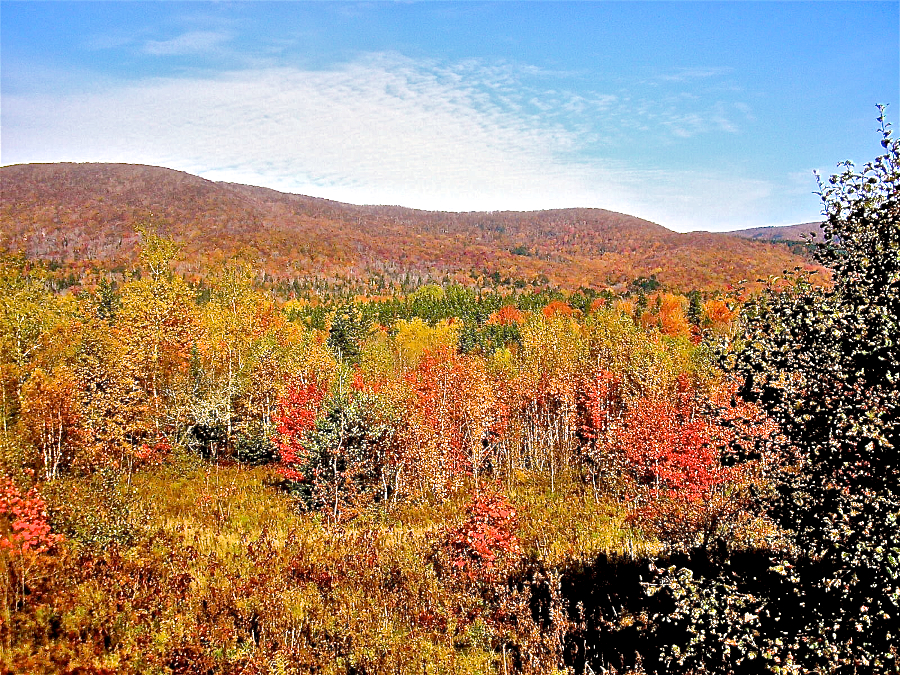 Colours at Northeast Mabou