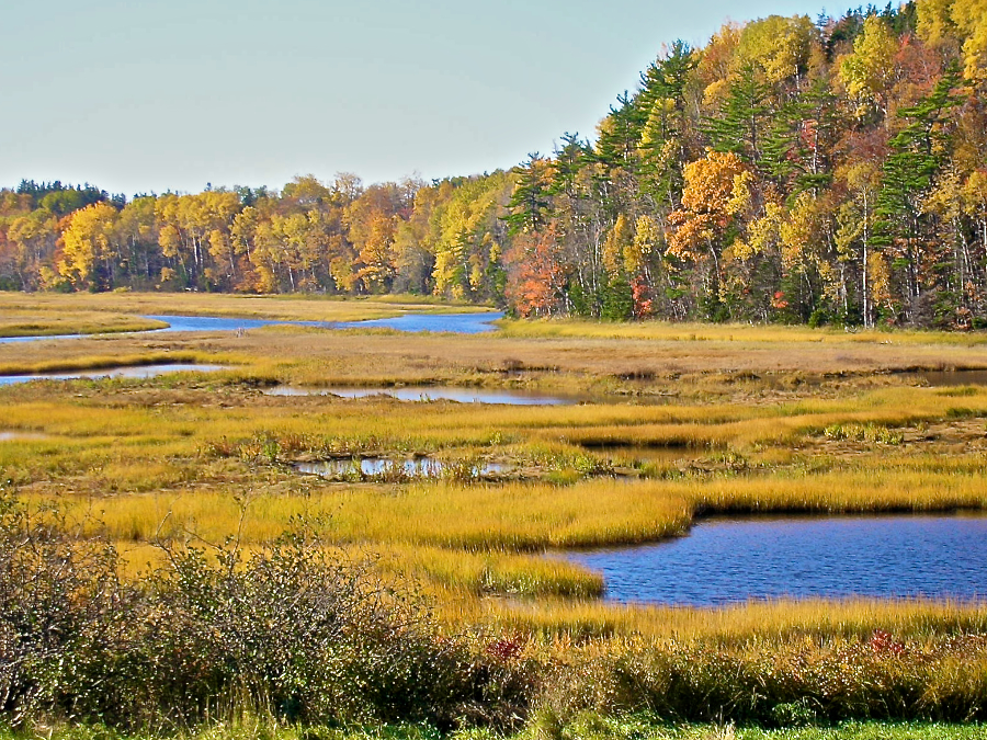 Southwest Mabou River Delta