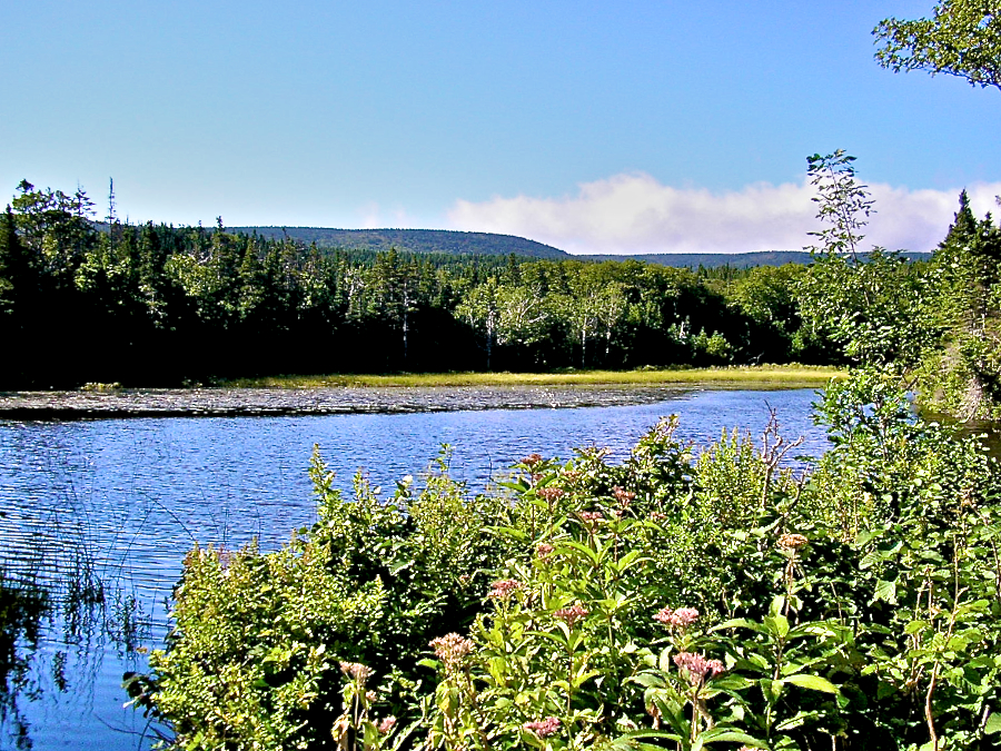 Pond on the Lighthouse Trail