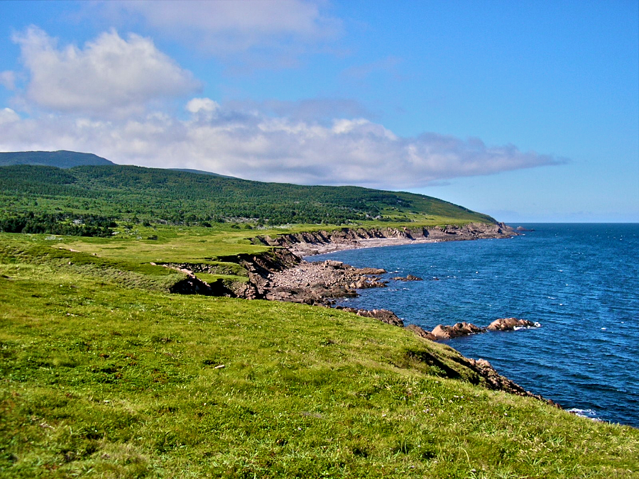 Coast towards Tittle Point from Cape St Lawrence