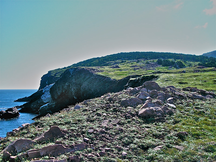 Coast towards the East from Cape St Lawrence