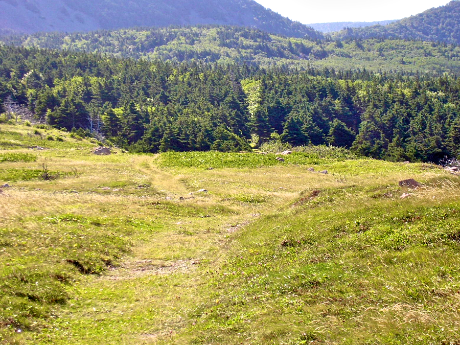 Lighthouse Trail approaching Cape St Lawrence