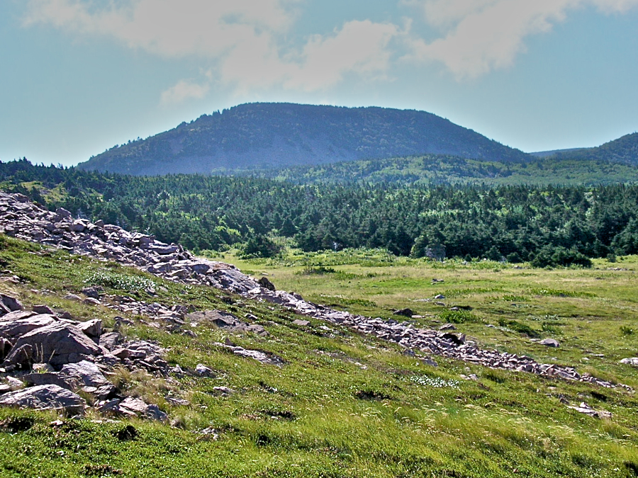 Bear Hill seen from Cape St Lawrence