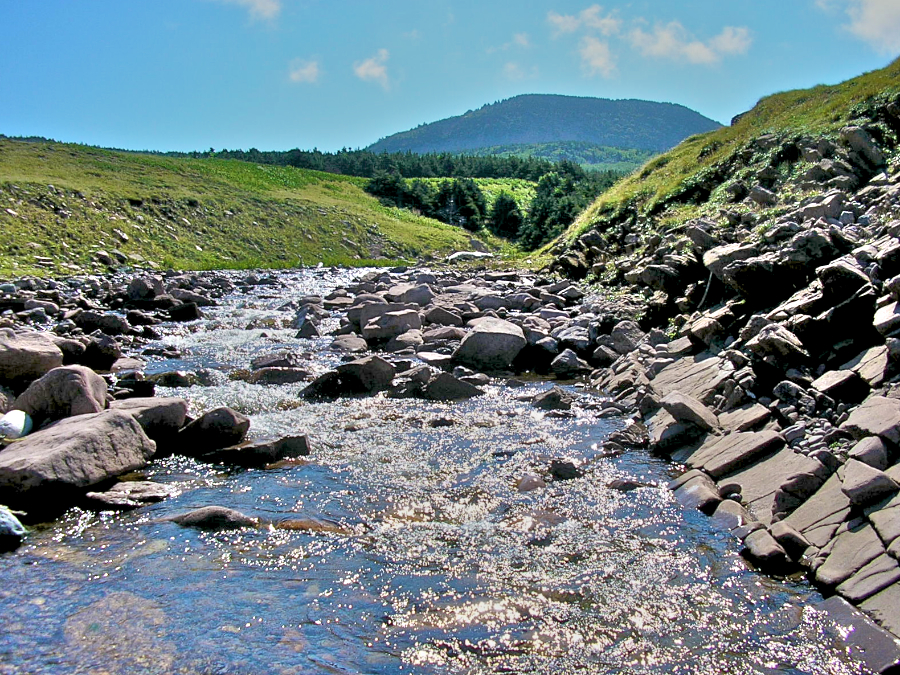 French Brook