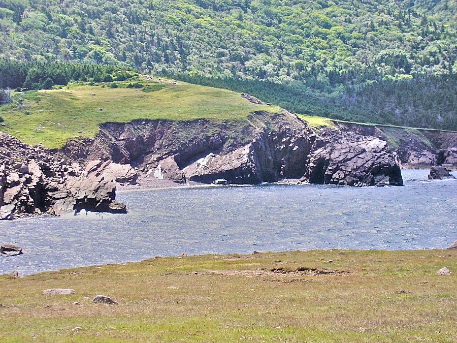 Near the head of Lowland Cove