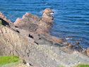 Rocks along the Cape St Lawrence shore