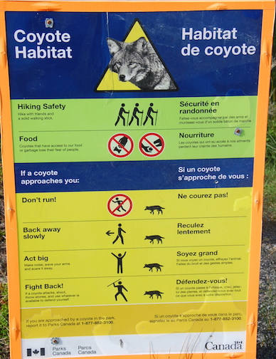 coyote_habitat.jpg