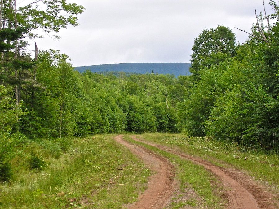 Whycocomagh Mountain rises above the Campbells Mountain Road