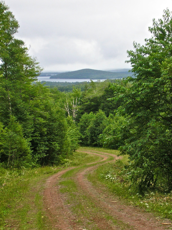 Indian Island and Whycocomagh Bay from the Campbells Mountain Road