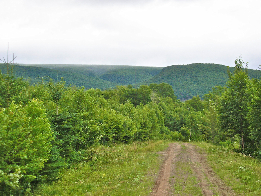 Whycocomagh Mountain