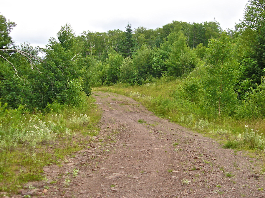 Campbells Mountain Road