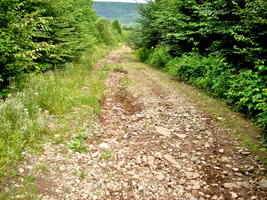 Erosion on the Campbells Mountain Road