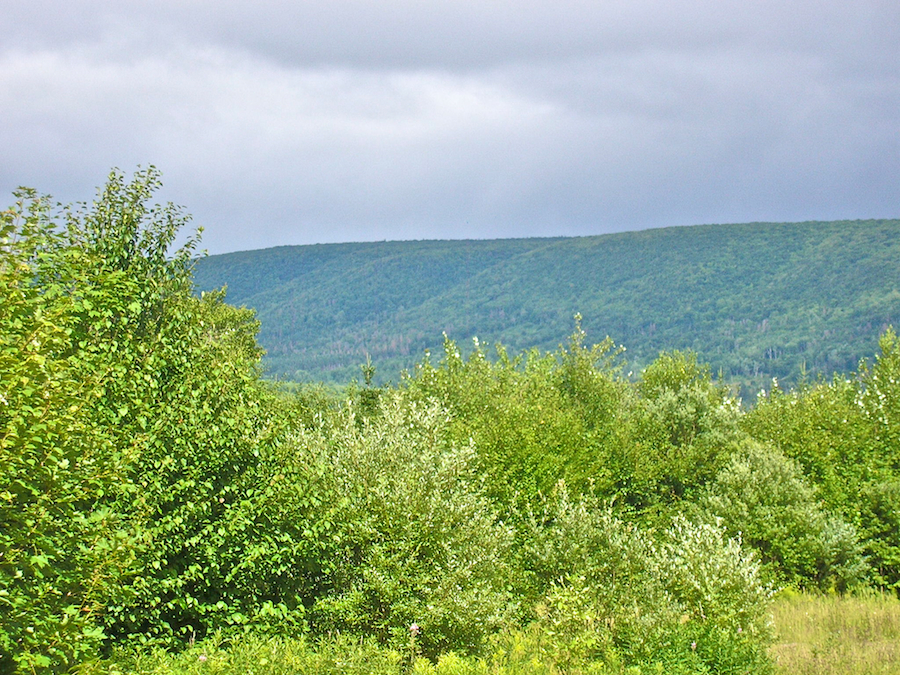 Whycocomagh Mountain