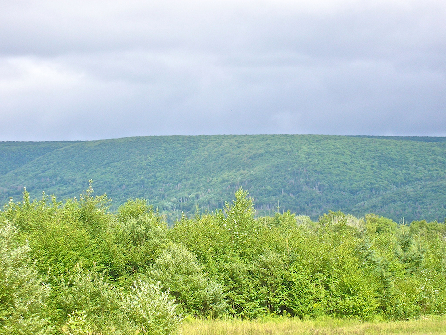 Whycocomagh Mountain