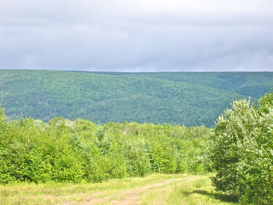 Whycocomagh Mountain