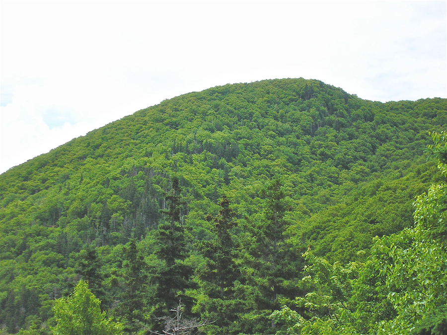 Close-up of the mountain which much of MacDonalds Glen Road follows