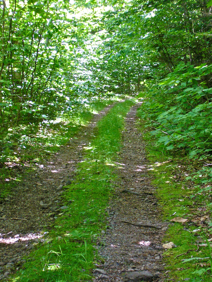 MacDonalds Glen Road below its junction with the Cape Mabou Road