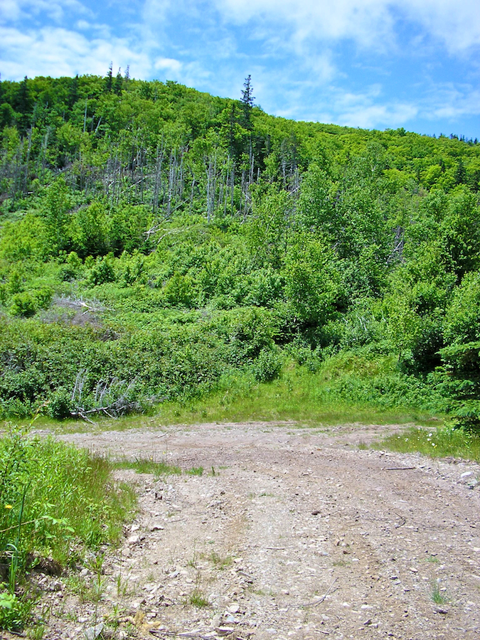 Junction of the MacDonalds Glen and Cape Mabou Roads