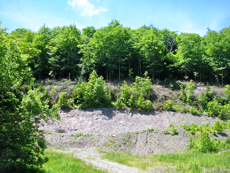 Old Gravel Pit at the side of MacDonalds Glen Road