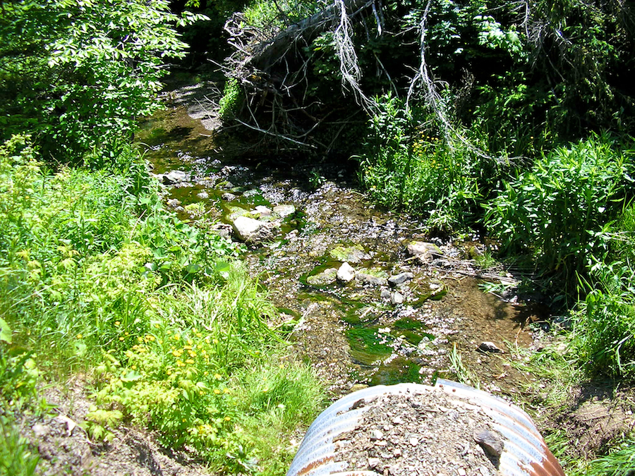 Brook Exiting Sluice under MacDonalds Glen Road