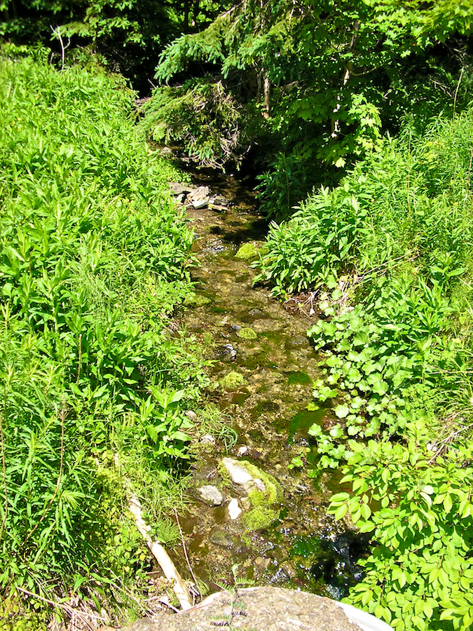 Brook Entering Sluice under MacDonalds Glen Road