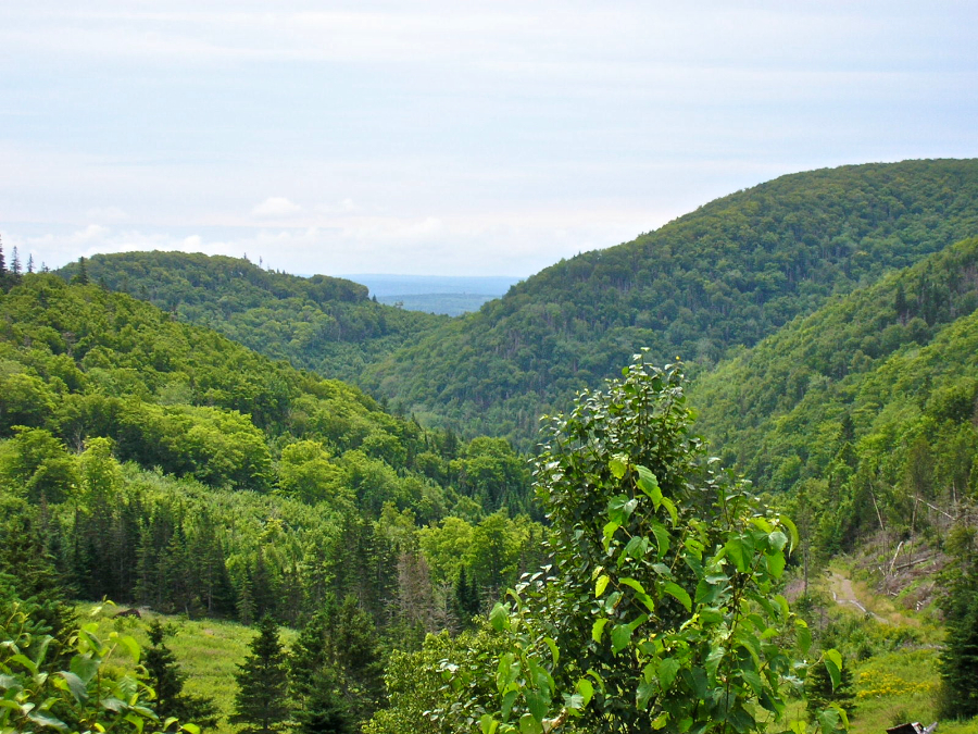 Iconic view to the south from Cape Mabou Road