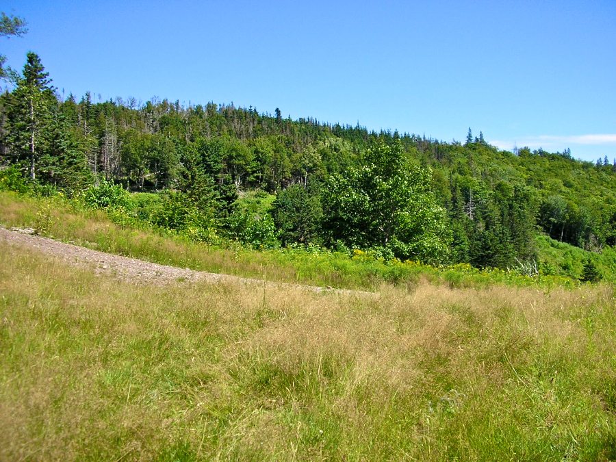 Junction of the MacDonalds Glen and Cape Mabou Roads