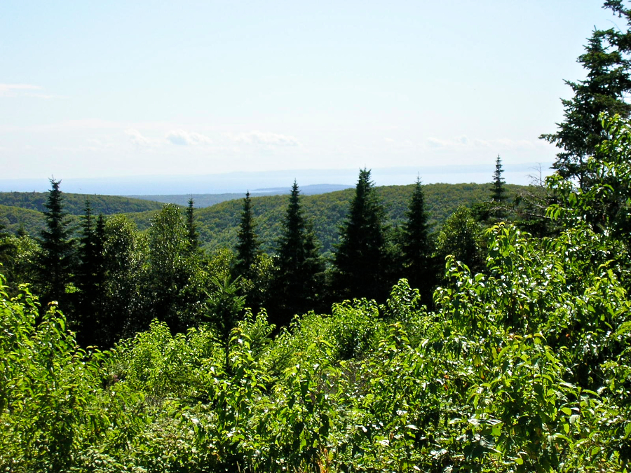 Countryside to the south of southwest from the Cape Mabou Road