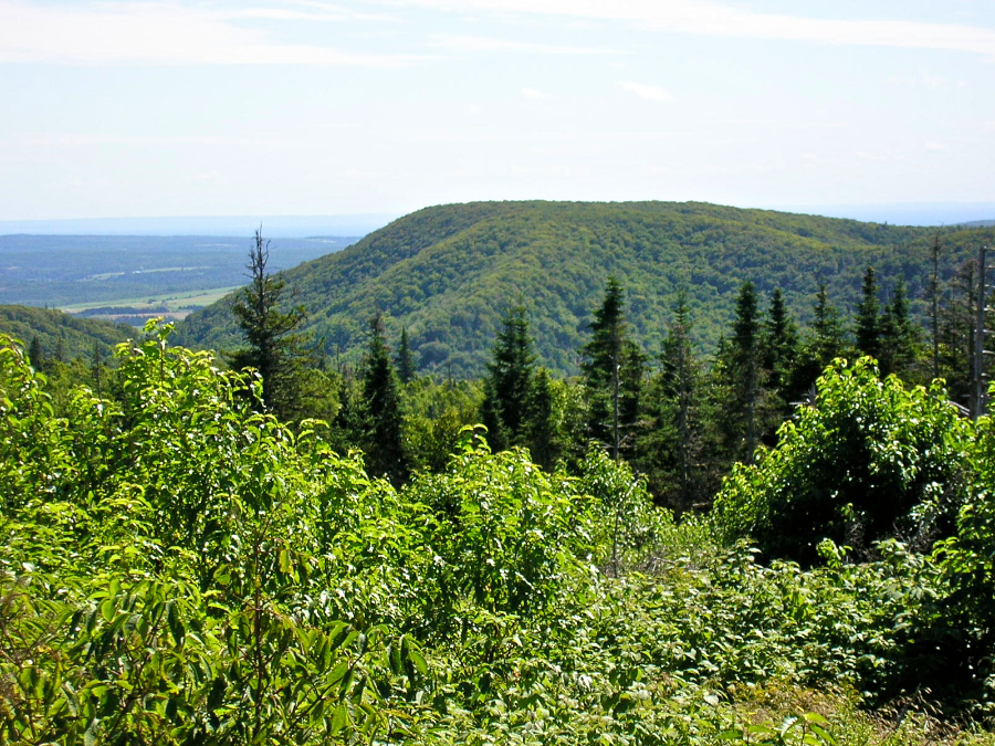 Countryside to the west of south from the Cape Mabou Road