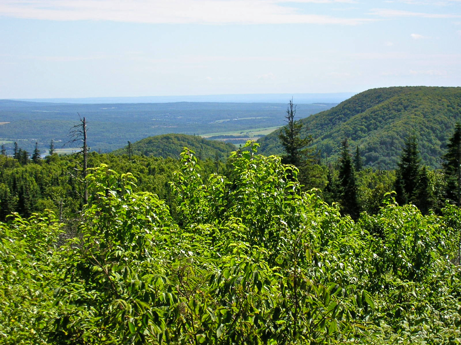 Countryside a bit west of south from the Cape Mabou Road