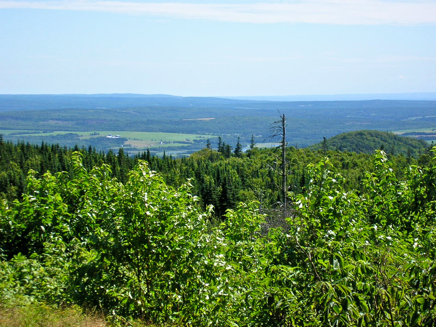 Countryside to the south from the Cape Mabou Road