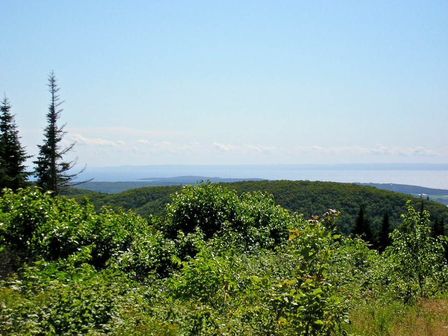 Countryside to the south of southwest from the Cape Mabou Road