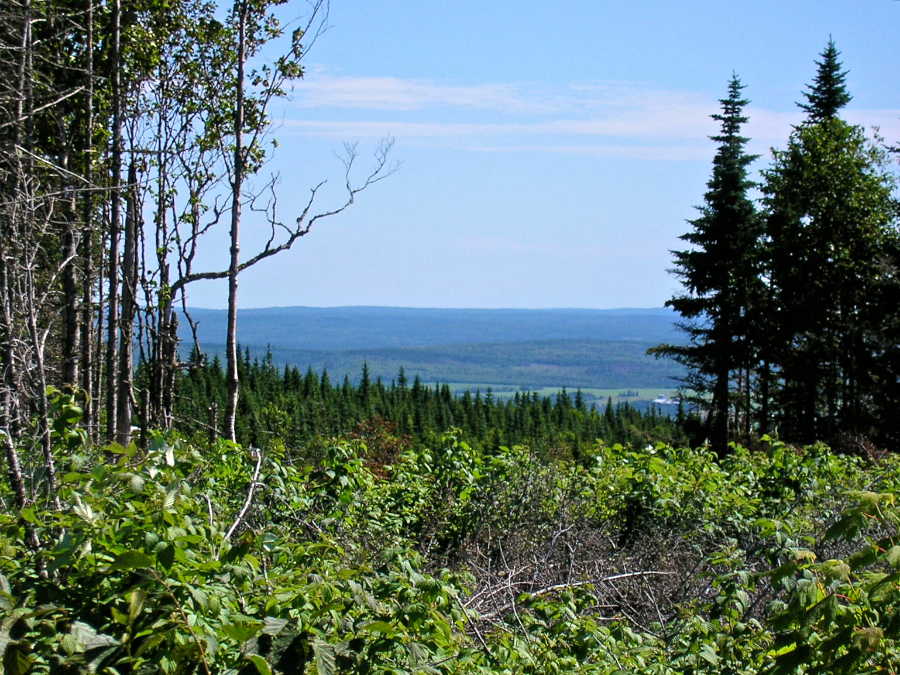 Countryside to the East from the Cape Mabou Road